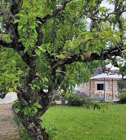 Chaleureux Cottage In Sainte-Suzanne